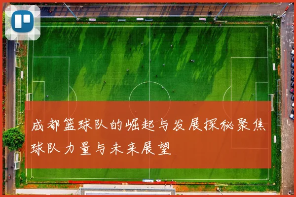 成都篮球队的崛起与发展探秘聚焦球队力量与未来展望