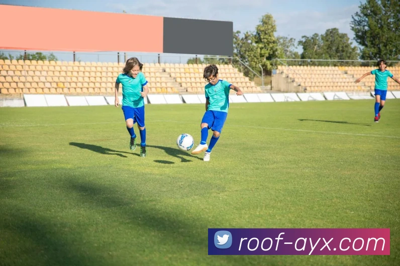 多媒体互动体验